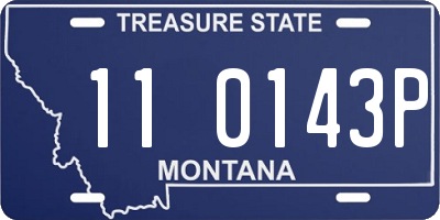 MT license plate 110143P