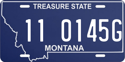 MT license plate 110145G