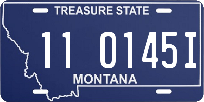 MT license plate 110145I