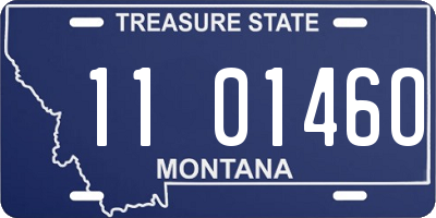 MT license plate 110146O