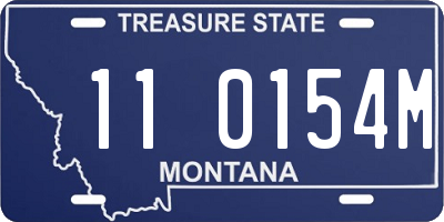 MT license plate 110154M