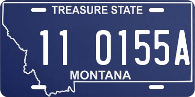 MT license plate 110155A