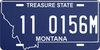MT license plate 110156M