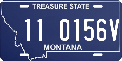 MT license plate 110156V