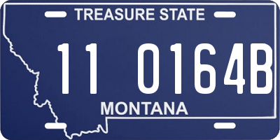 MT license plate 110164B