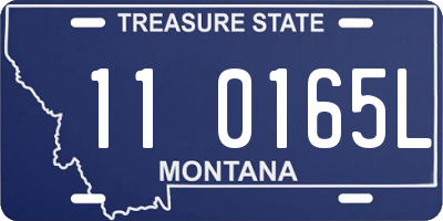 MT license plate 110165L