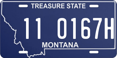 MT license plate 110167H