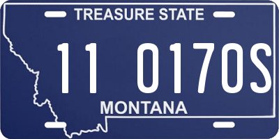 MT license plate 110170S