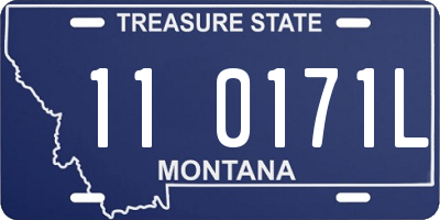 MT license plate 110171L