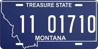 MT license plate 110171O