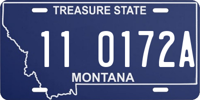 MT license plate 110172A