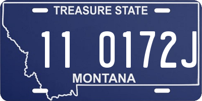 MT license plate 110172J