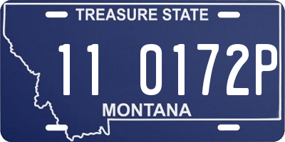 MT license plate 110172P