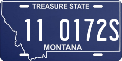 MT license plate 110172S