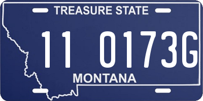 MT license plate 110173G
