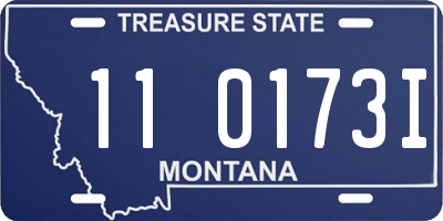 MT license plate 110173I