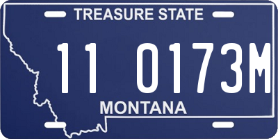 MT license plate 110173M