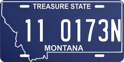 MT license plate 110173N