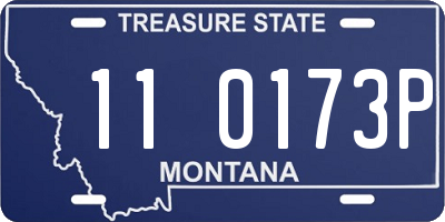 MT license plate 110173P