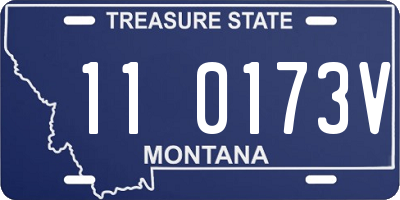 MT license plate 110173V