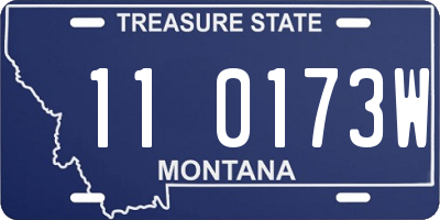 MT license plate 110173W