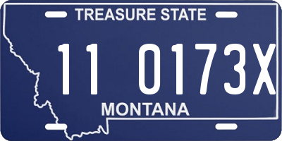 MT license plate 110173X
