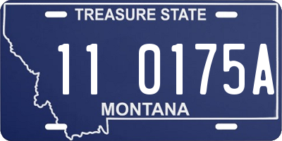 MT license plate 110175A