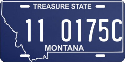 MT license plate 110175C