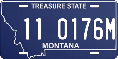 MT license plate 110176M