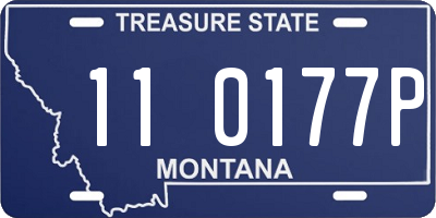 MT license plate 110177P