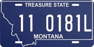 MT license plate 110181L