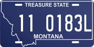 MT license plate 110183L