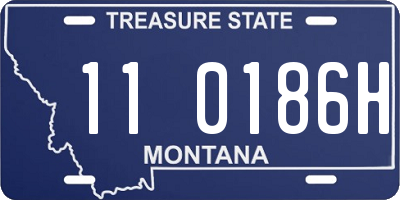MT license plate 110186H