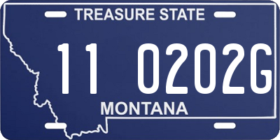 MT license plate 110202G