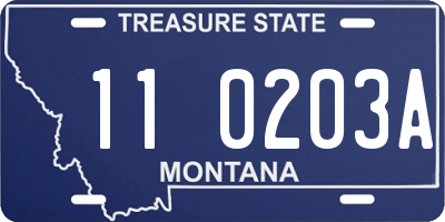 MT license plate 110203A