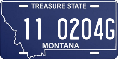 MT license plate 110204G