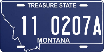 MT license plate 110207A