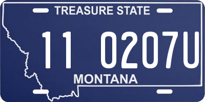 MT license plate 110207U