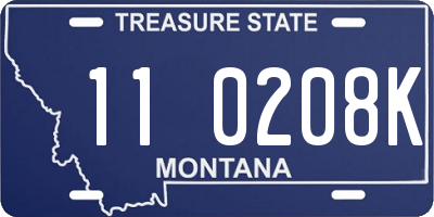 MT license plate 110208K
