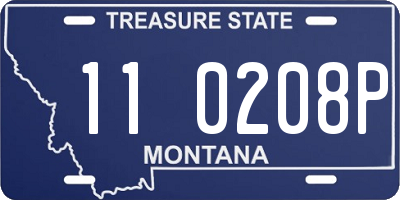 MT license plate 110208P
