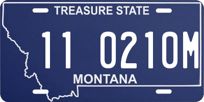 MT license plate 110210M