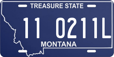 MT license plate 110211L