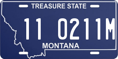 MT license plate 110211M