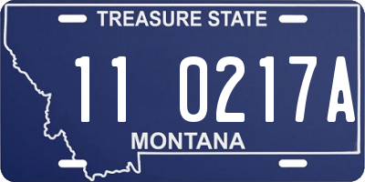 MT license plate 110217A