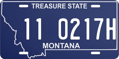 MT license plate 110217H