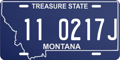 MT license plate 110217J