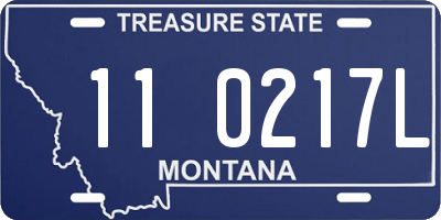 MT license plate 110217L