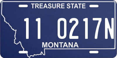 MT license plate 110217N