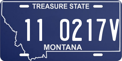 MT license plate 110217V