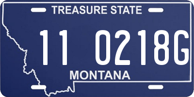 MT license plate 110218G